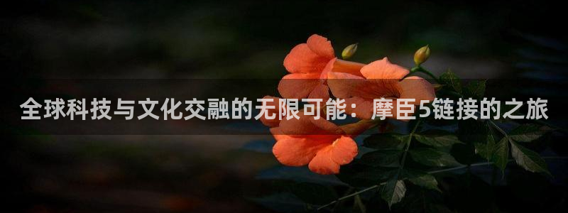 恒行体育3：全球科技与文化交融的无限可能：摩臣5链接的之旅