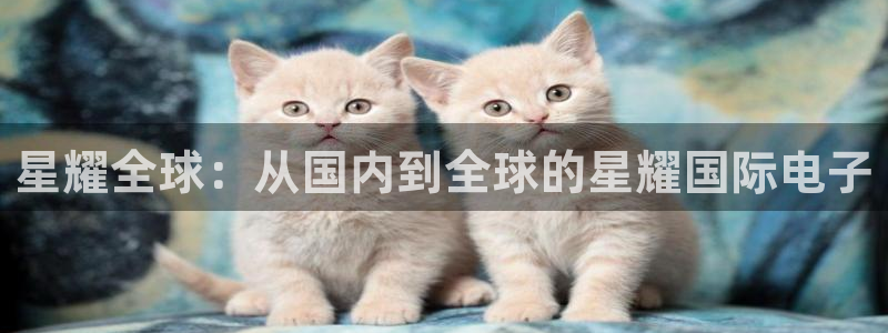 恒行登录：星耀全球：从国内到全球的星耀国际电子