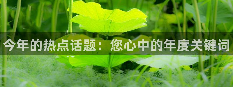 恒行主管：今年的热点话题：您心中的年度关键词