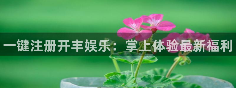 恒行5招商：一键注册开丰娱乐：掌上体验最新福利