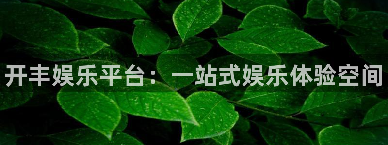恒行体育官网入口登录：开丰娱乐平台：一站式娱乐体验空间