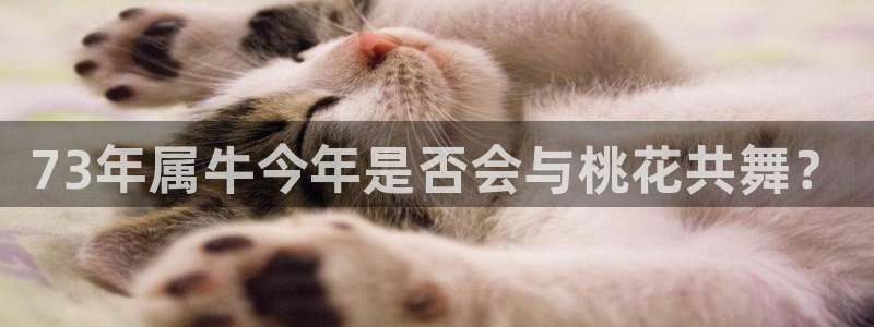 恒行4代理：73年属牛今年是否会与桃花共舞？