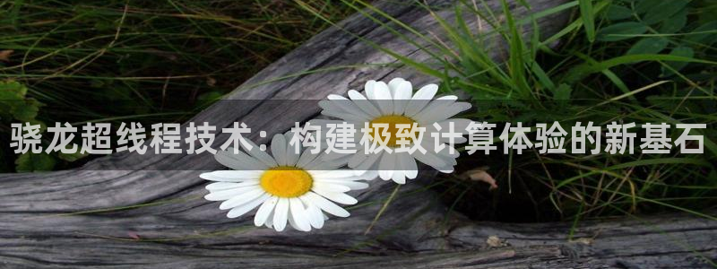 恒行4登录：骁龙超线程技术：构建极致计算体验的新基石