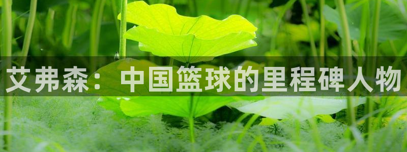 恒行f平台注册：艾弗森：中国篮球的里程碑人物