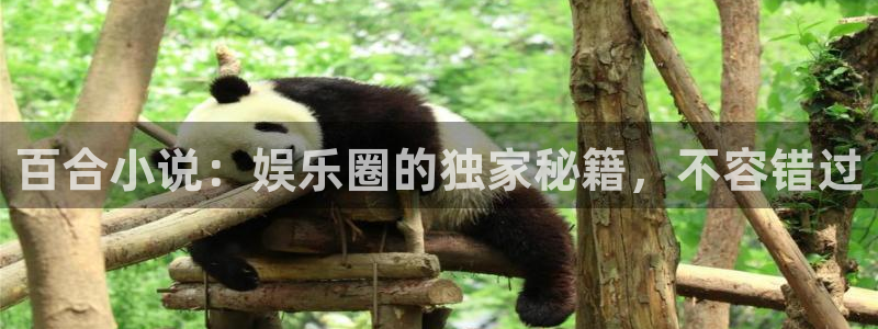 恒行平台注册：百合小说：娱乐圈的独家秘籍，不容错过