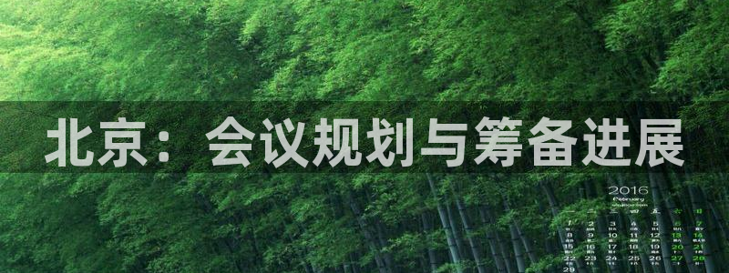 恒行体育3在线注册：北京：会议规划与筹备进展