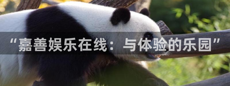 恒行平台注册：“嘉善娱乐在线：与体验的乐园”