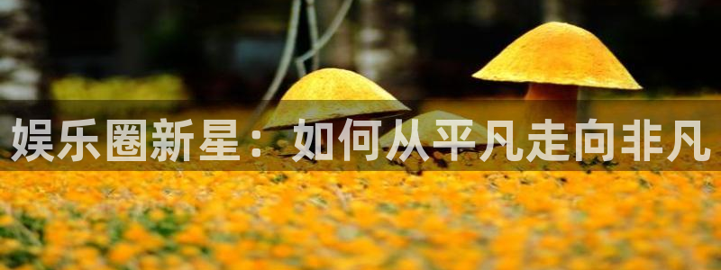 恒行：娱乐圈新星：如何从平凡走向非凡