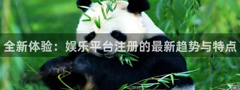 恒行体育凯捷平台代理：全新体验：娱乐平台注册的最新趋势与特点