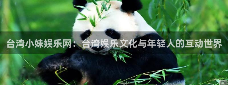 恒行体育官网登录：台湾小妹娱乐网：台湾娱乐文化与年轻人的互动世界