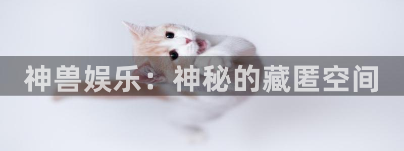 上海恒行汽车电子有限公司：神兽娱乐：神秘的藏匿空间
