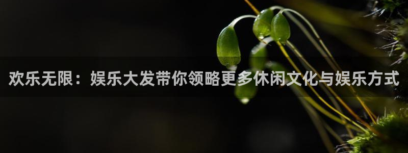 恒行平台开户链接：欢乐无限：娱乐大发带你领略更多休闲文化与娱乐方式