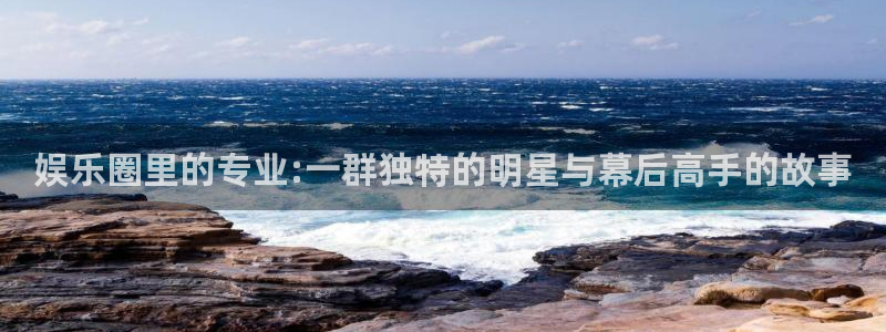 恒行登录界面入口：娱乐圈里的专业:一群独特的明星与幕后高手的故事