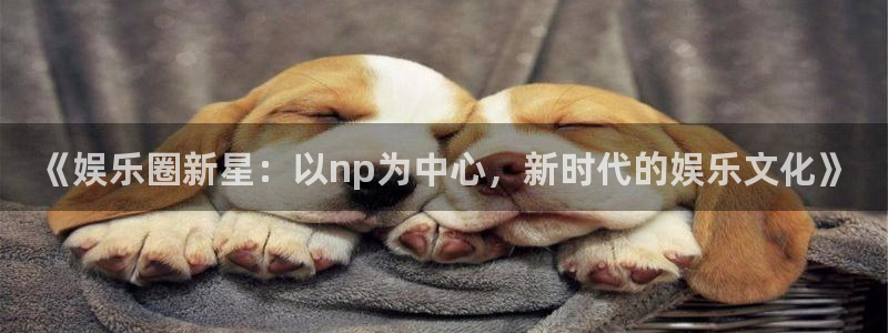 恒行2登录入口：《娱乐圈新星：以np为中心，新时代的娱乐文化》