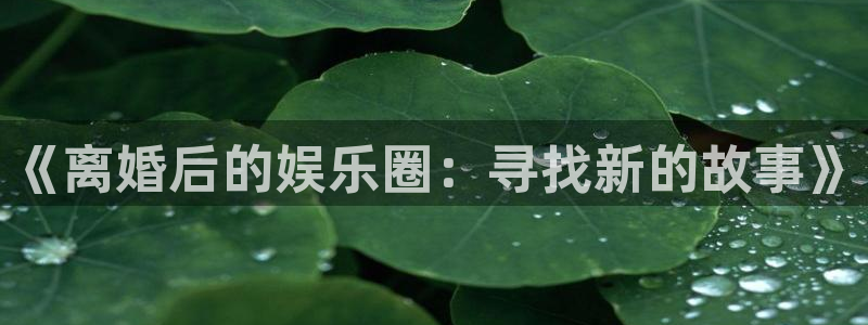 恒行平台官网：《离婚后的娱乐圈：寻找新的故事》