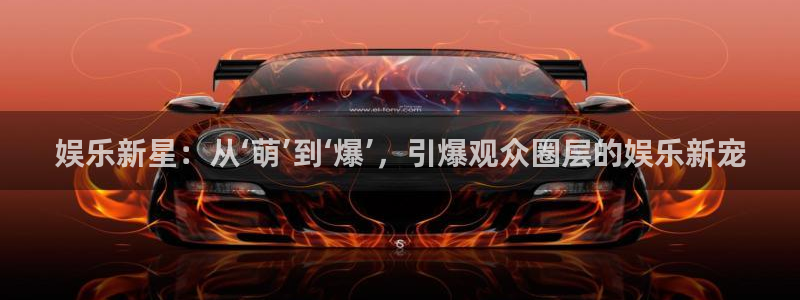 恒行体育网页版入口：娱乐新星：从‘萌’到‘爆’，引爆观众圈层的娱乐新宠