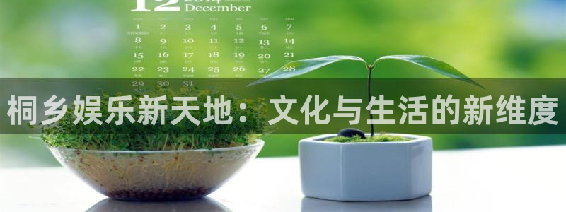 恒行3代理：桐乡娱乐新天地：文化与生活的新维度