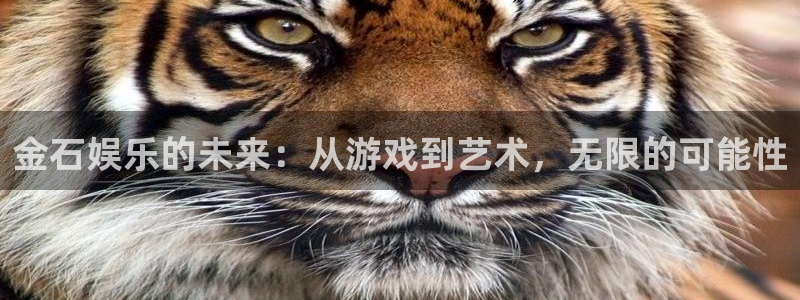 恒行4平台：金石娱乐的未来：从游戏到艺术，无限的可能性
