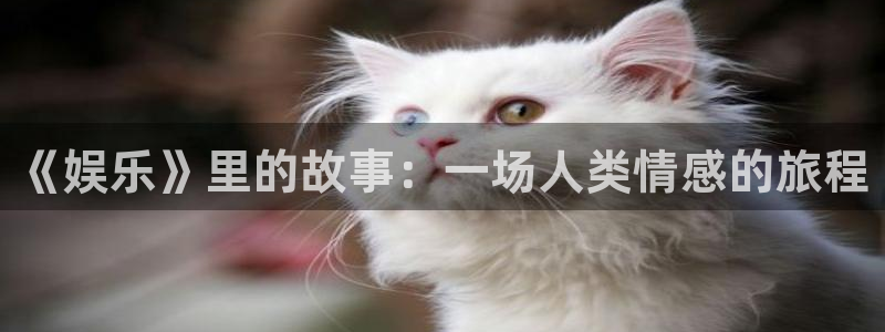恒行代理注册官网入口：《娱乐》里的故事：一场人类情感的旅程