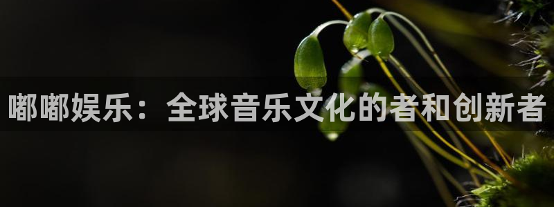 恒行体育在线注册：嘟嘟娱乐：全球音乐文化的者和创新者