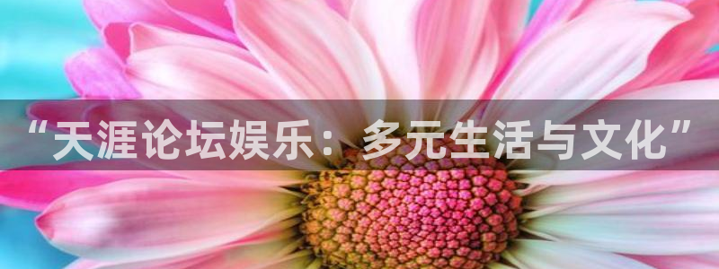 恒行4登录：“天涯论坛娱乐：多元生活与文化”