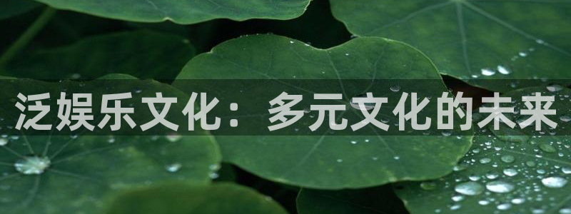 恒行官网：泛娱乐文化：多元文化的未来