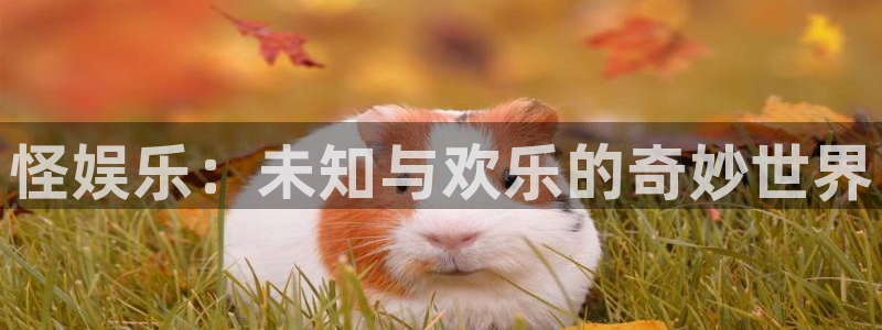 恒行2平台登录：怪娱乐：未知与欢乐的奇妙世界