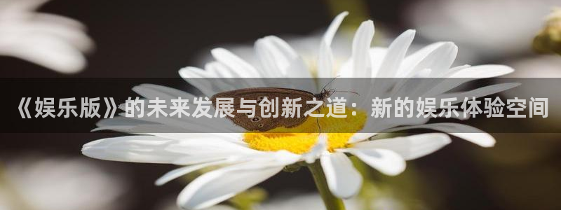 恒行：《娱乐版》的未来发展与创新之道：新的娱乐体验空间
