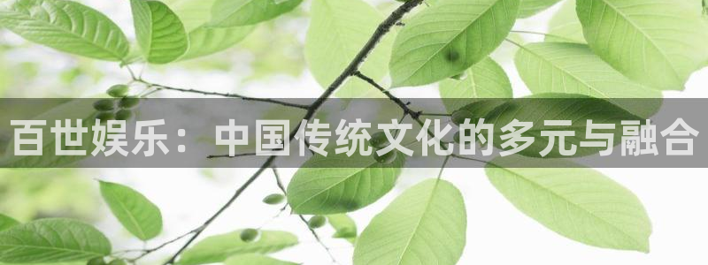 恒行体育注册登录入口：百世娱乐：中国传统文化的多元与融合