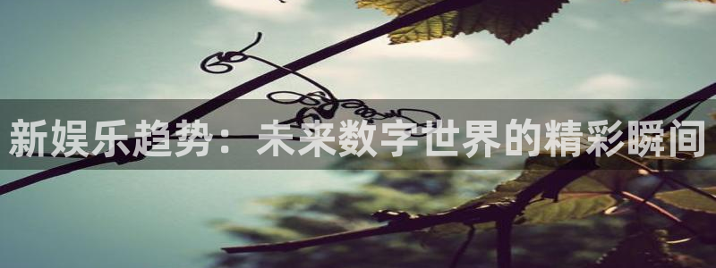 恒行体育eon：新娱乐趋势：未来数字世界的精彩瞬间