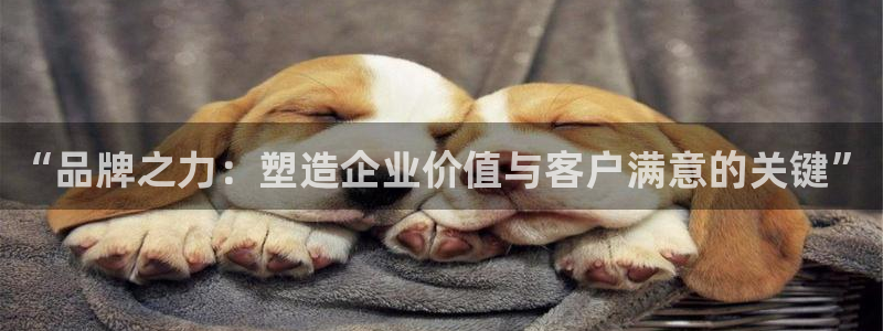 恒行体育凯捷平台主管：“品牌之力：塑造企业价值与客户满意的关键”