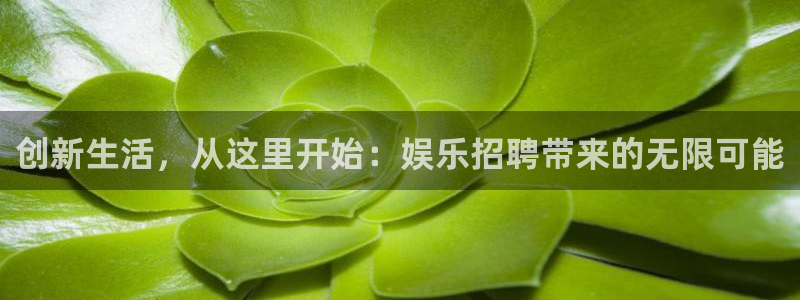 恒行零能源集团：创新生活，从这里开始：娱乐招聘带来的无限可能