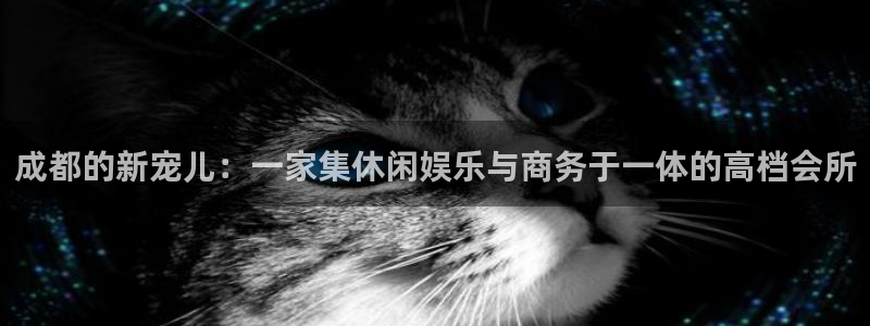 恒行体育注册代理：成都的新宠儿：一家集休闲娱乐与商务于一体的高档会所