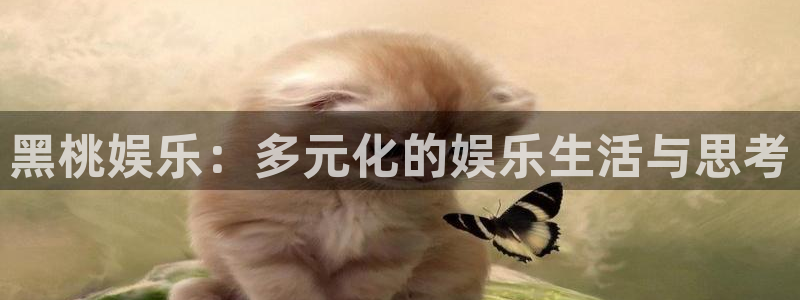 恒行5招商：黑桃娱乐：多元化的娱乐生活与思考