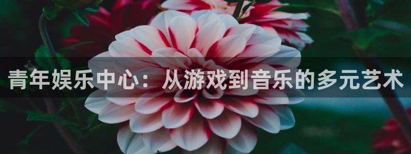 恒行集团：青年娱乐中心：从游戏到音乐的多元艺术